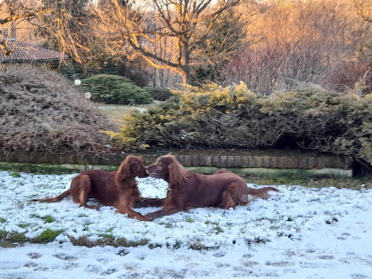 Tenuta Degli Angeli Rossi Asti Exteriér fotografie