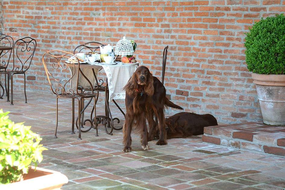 Tenuta Degli Angeli Rossi Asti Exteriér fotografie